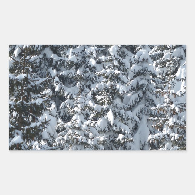 Pegatina Rectangular Textura de árbol de flor de nieve (Anverso)