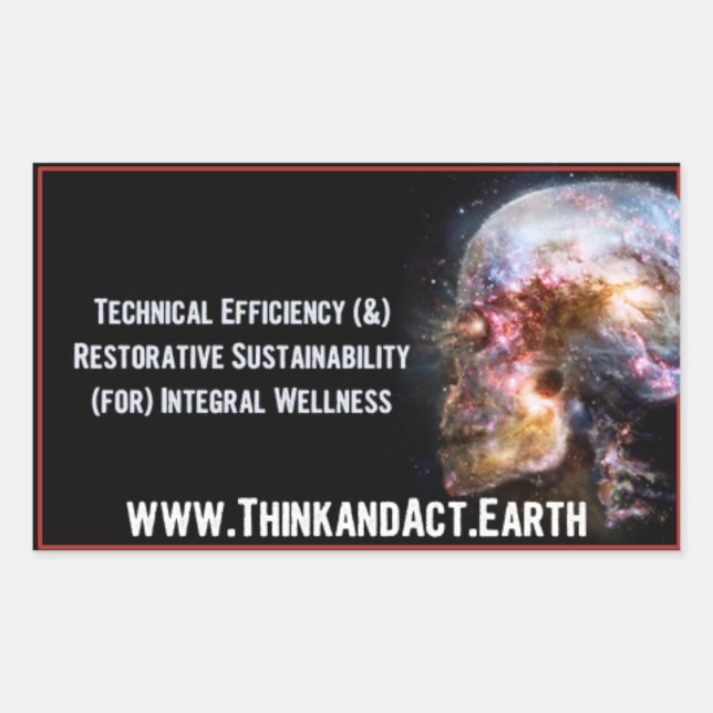 Pegatina Rectangular ThinkandAct.Earth "Funtherementales" (Anverso)