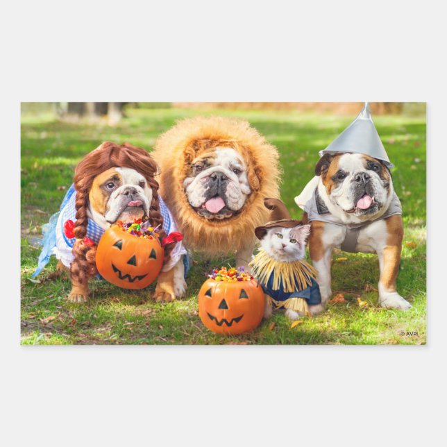 Pegatina Rectangular Three Bulldogs in Costumes (Anverso)