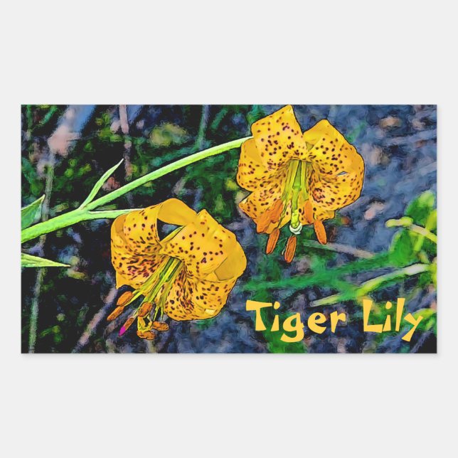 Pegatina Rectangular Tiger Lily (Anverso)