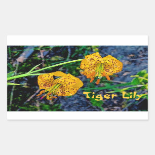 Pegatina Rectangular Tiger Lily