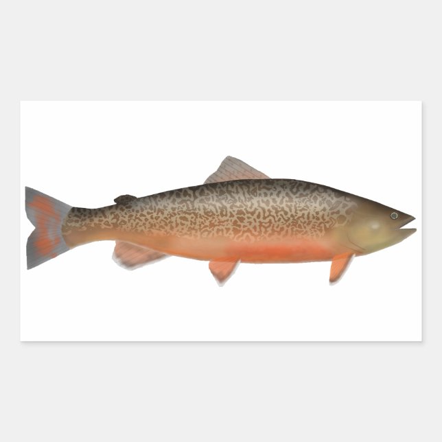 Pegatina Rectangular Tiger Trout (Anverso)