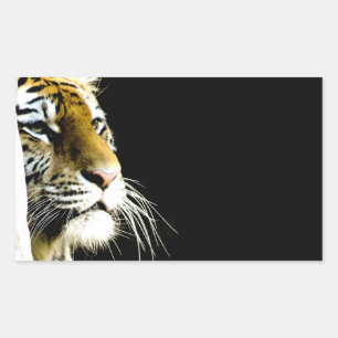 Pegatina Rectangular Tigre