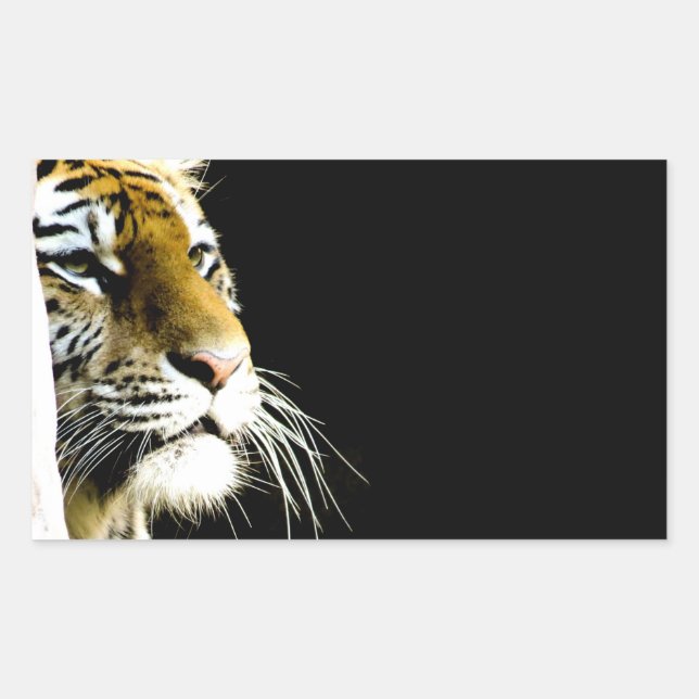 Pegatina Rectangular Tigre (Anverso)
