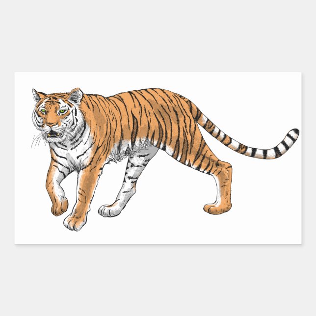 Pegatina Rectangular Tigre 2 (Anverso)