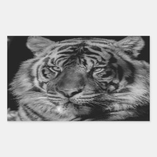 Pegatina Rectangular Tigre blanco y negro
