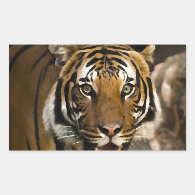 Pegatina Rectangular Tigre de Siberia (Anverso)