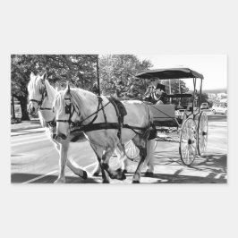 Pegatina Rectangular Timeless Journey