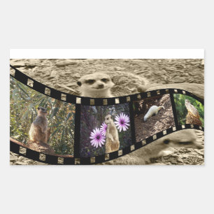 Pegatina Rectangular Tira fotográfica de Meerkat de época,