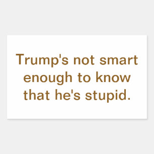 Pegatina Rectangular Tonto Estúpido Trump No Es Inteligente Hankamer Ar