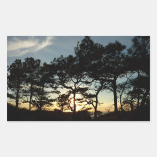 Pegatina Rectangular Torrey Pine Sunset II California