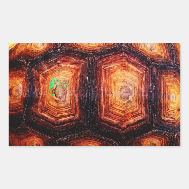 Pegatina Rectangular Tortoisse (Anverso)