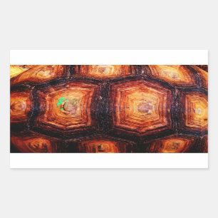Pegatina Rectangular Tortoisse