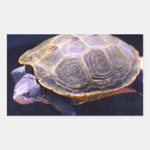 Pegatina Rectangular Tortuga de espalda diamontesa