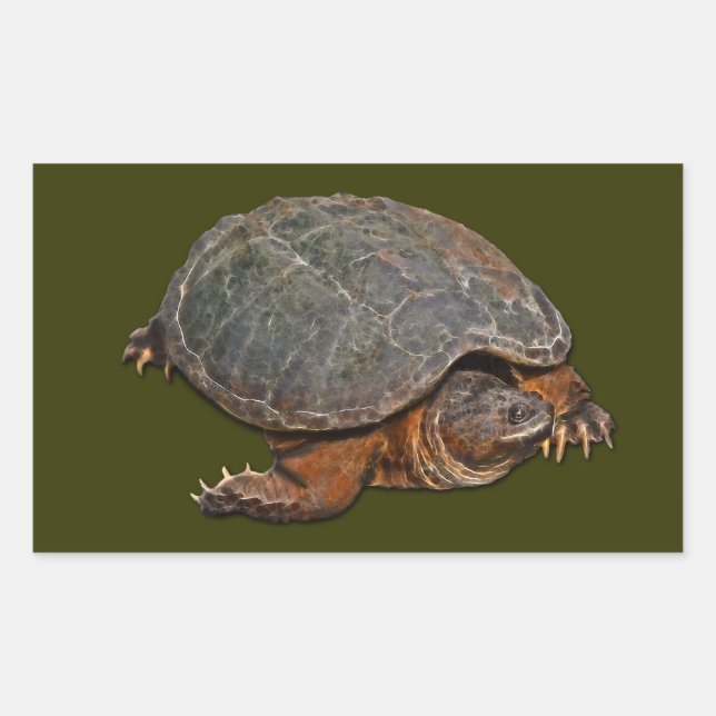 Pegatina Rectangular Tortuga encantadora de Terrapin (Anverso)
