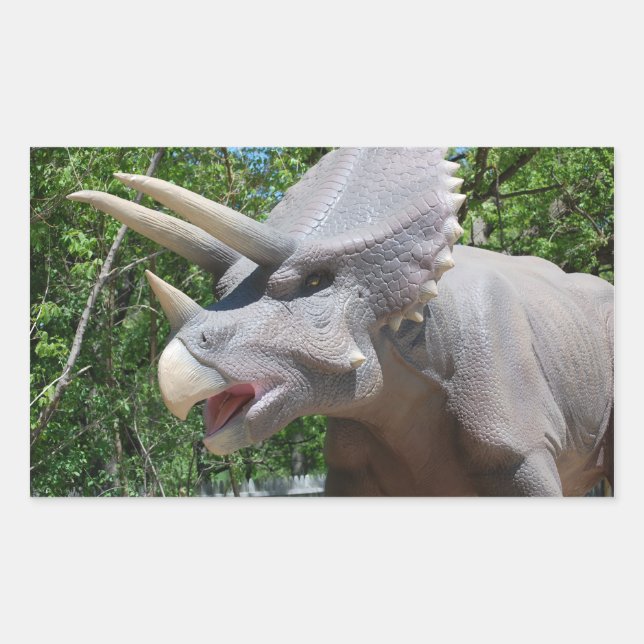 Pegatina Rectangular Triceratops Dinosaurios (Anverso)