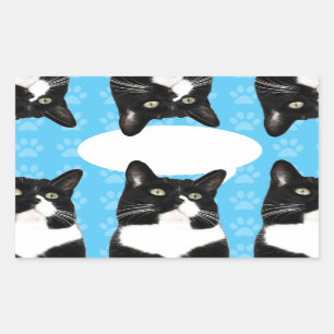 Pegatina Rectangular Triple problema gato Personalizado arte divertido