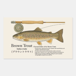 Pegatina Rectangular Trucha Marrón (Salmo trutta) – Ilustración en ingl