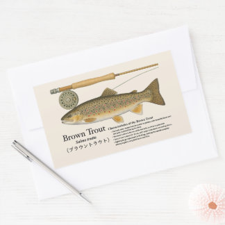 Pegatina Rectangular Trucha Marrón (Salmo trutta) – Ilustración en ingl