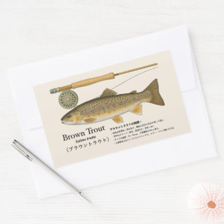 Pegatina Rectangular Trucha Marrón (Salmo trutta) – Ilustración Japones