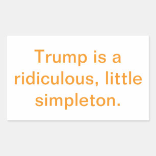 Pegatina Rectangular Trump es un niño-hombre estúpido Hankamer Artjunkh