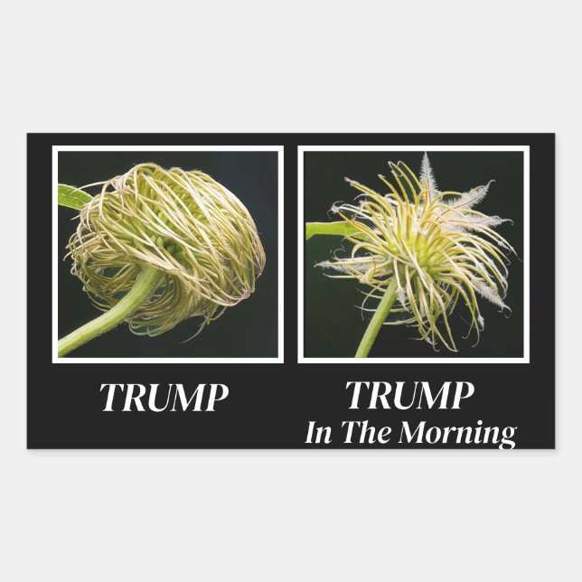 Pegatina Rectangular Trump Hair (Anverso)