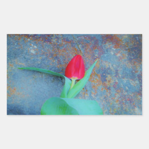 Pegatina Rectangular Tulipán rojo sobre pizarra gris azul