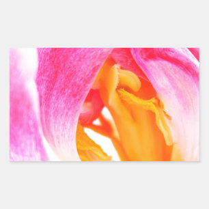 Pegatina Rectangular tulipán rosa