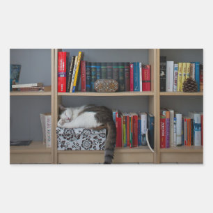 Pegatina Rectangular Un gato lindo durmiendo en libros de biblioteca