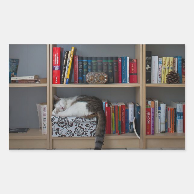 Pegatina Rectangular Un gato lindo durmiendo en libros de biblioteca (Anverso)