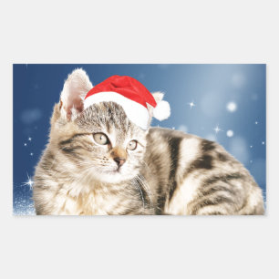 Pegatina Rectangular Un gato lindo vestido con Navidades de sombrero ro