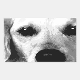 Pegatina Rectangular Un golden retriever blanco y negro