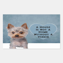 Una Casa No Es Un Hogar Sin Yorkie