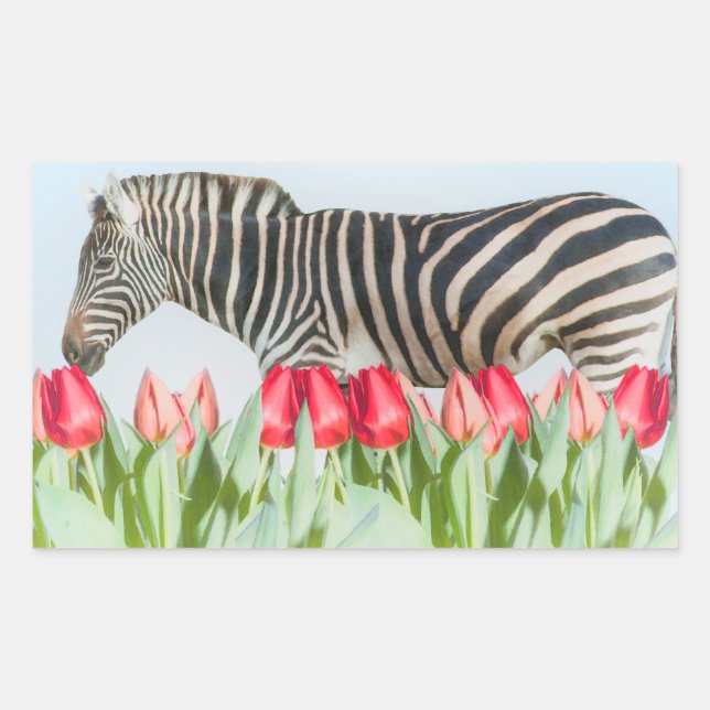 Pegatina Rectangular Una cebra entre los tulipanes (Anverso)