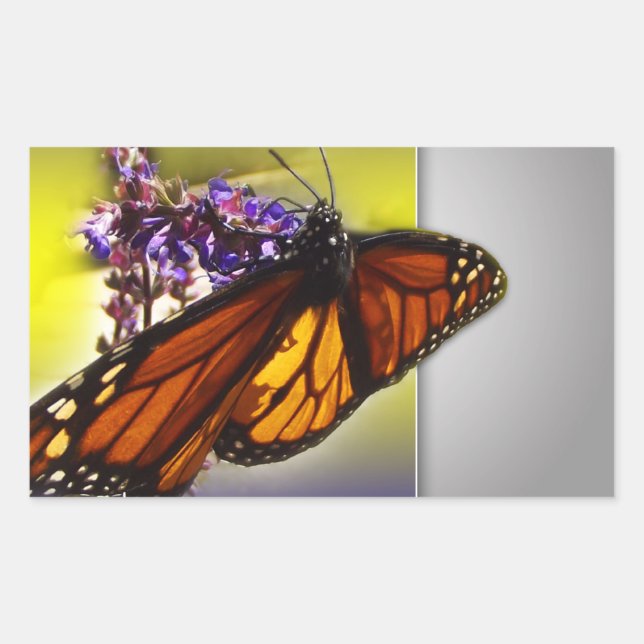 Pegatina Rectangular Una mariposa dulce (Anverso)