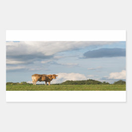 Pegatina Rectangular Vaca de Blonde d'Aquitaine en la región de Dordogn