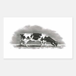Pegatina Rectangular Vaca de Holstein que pasta: Dibujo de lápiz del