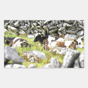 Pegatina Rectangular Vacas moo