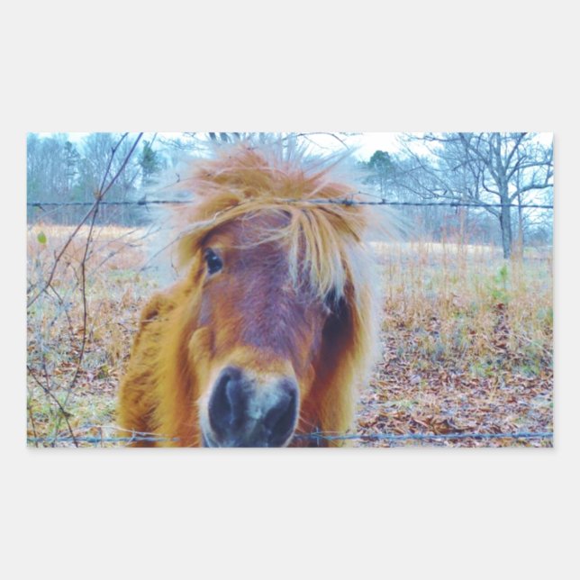 Pegatina Rectangular Valentine Heart Horse (Anverso)