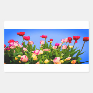 Pegatina Rectangular Varios Pegatinas de Tulips #3