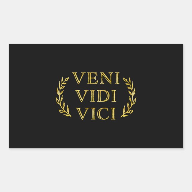 Pegatina Rectangular Veni Vidi Vici Funny Game Winner (Anverso)