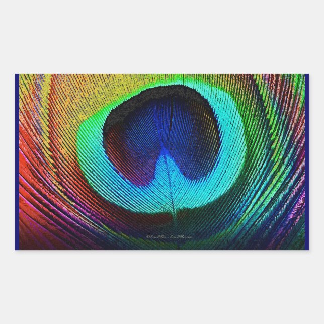 Pegatina Rectangular Vibrante Feather Peacock (Anverso)