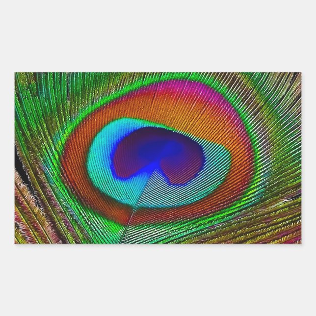 Pegatina Rectangular Vibrante pluma de cobre para pavo real (Anverso)