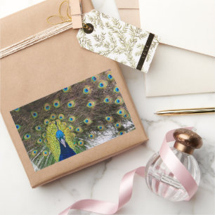 Pegatina Rectangular Vibrantes plumas de pavo real