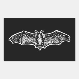 Pegatina Rectangular Vintage Bat