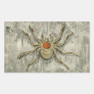Pegatina Rectangular Vintage Halloween Spider in Her Web con una mosca