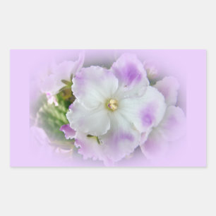 Pegatina Rectangular Violetas africanas moradas y blancas