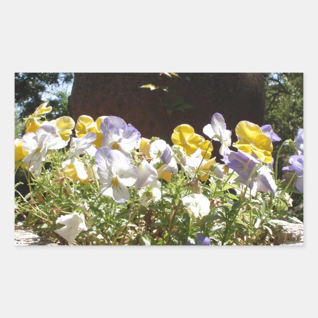 Pegatina Rectangular Violetas en un abrevadero de piedra. (Anverso)