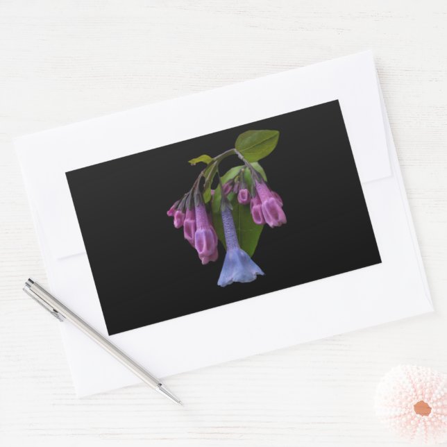 Pegatina Rectangular Virginia Bluebells Wildflower (Sobre)