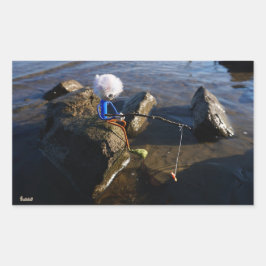 Pegatina Rectangular Vissende Fubby op een steen.